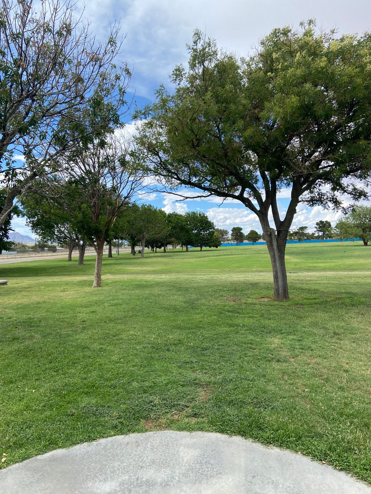 Hole 4