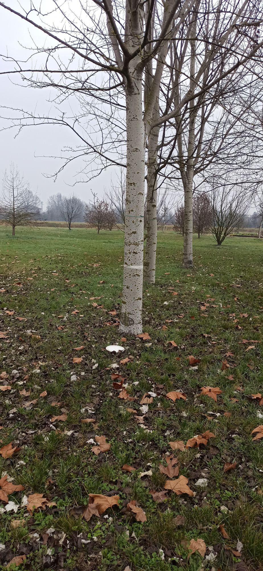 Hole 3 target