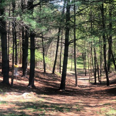 Hole 18 yellow pin