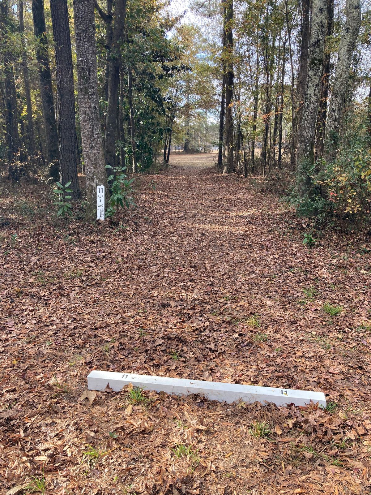 Hole 11, Tee Box, 280’ Straight tunnel to open.