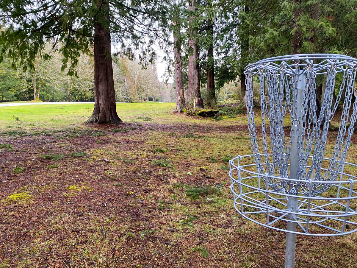 Hole 17 ‘Rootz’ green