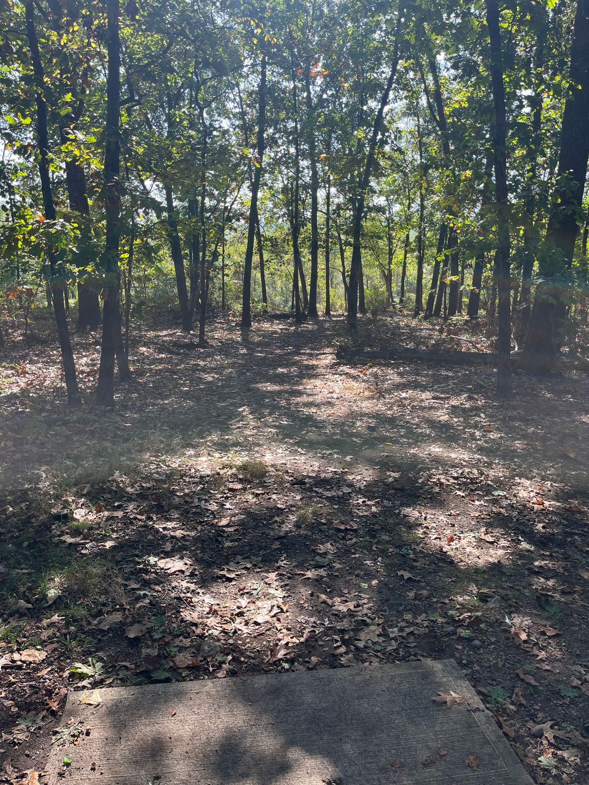 Hole 14