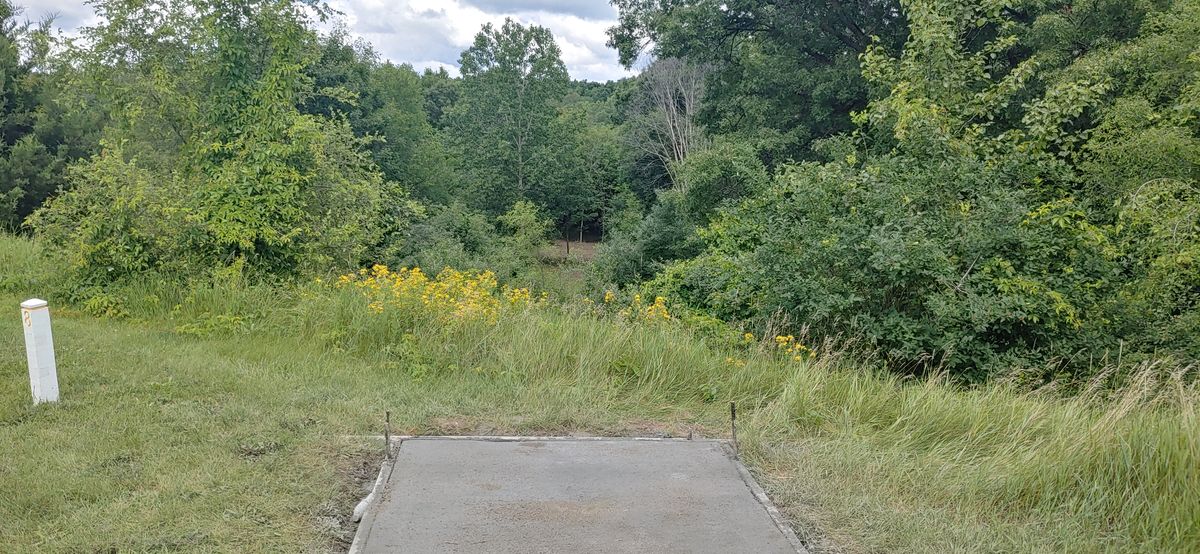 Hole 8 long tee