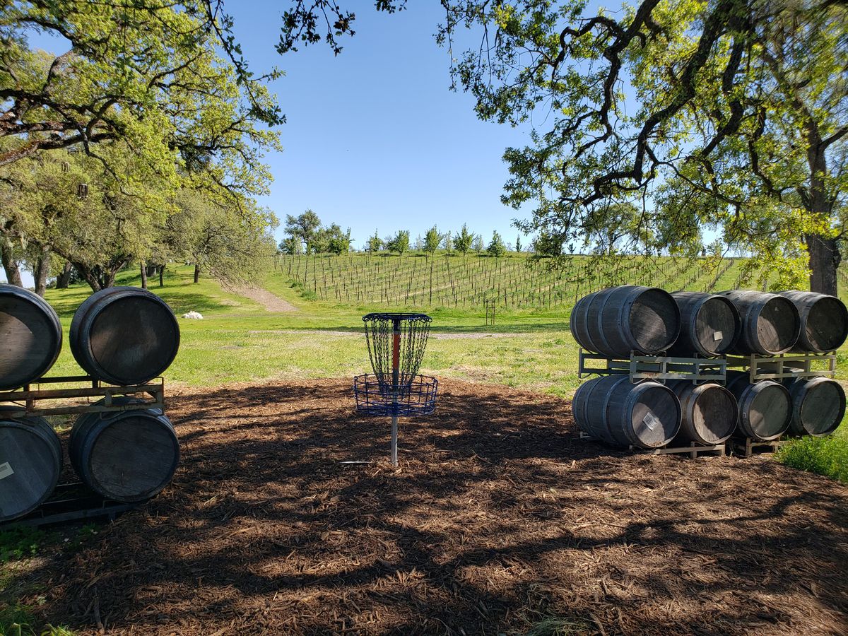 The sole location for this hole is a downhill shot from the teepad to the left of the vines in the background. Tricky due to the double mandos and low, hanging branches.