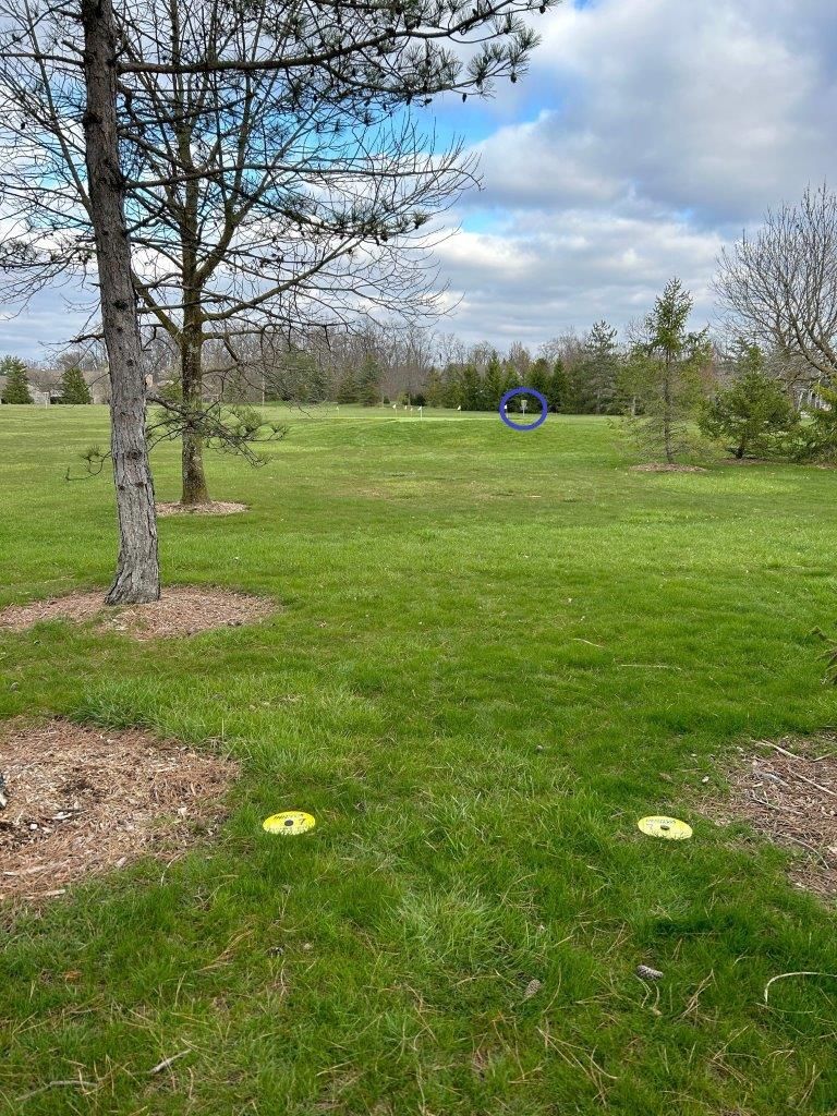 Hole 7