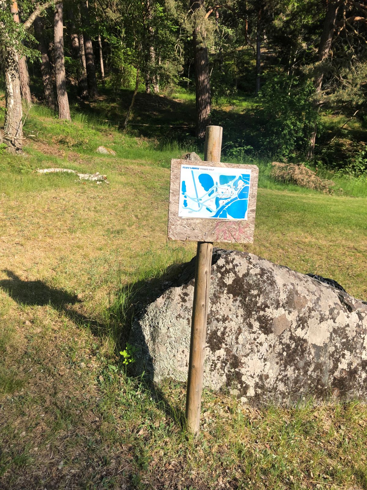 ”Tee” hål 6