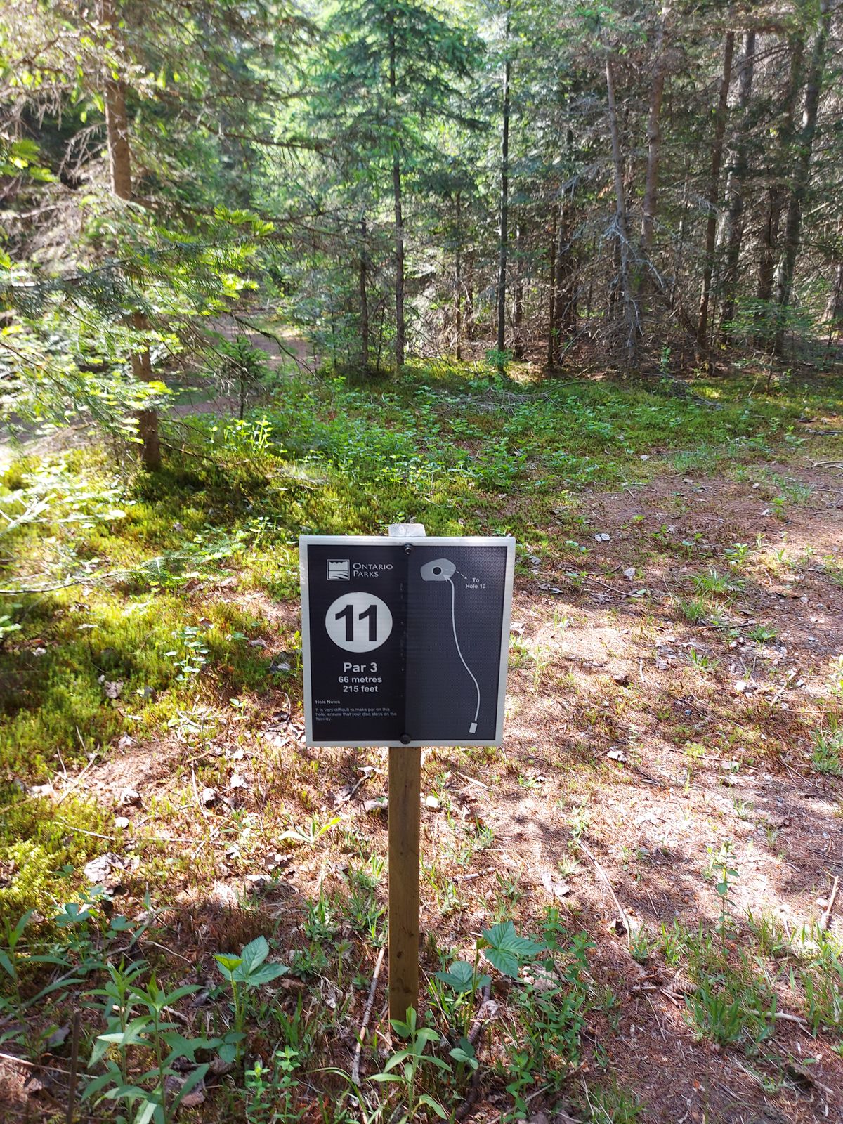 Hole sign 11. 215ft 🍁🌲🍁🌲🍁🌲