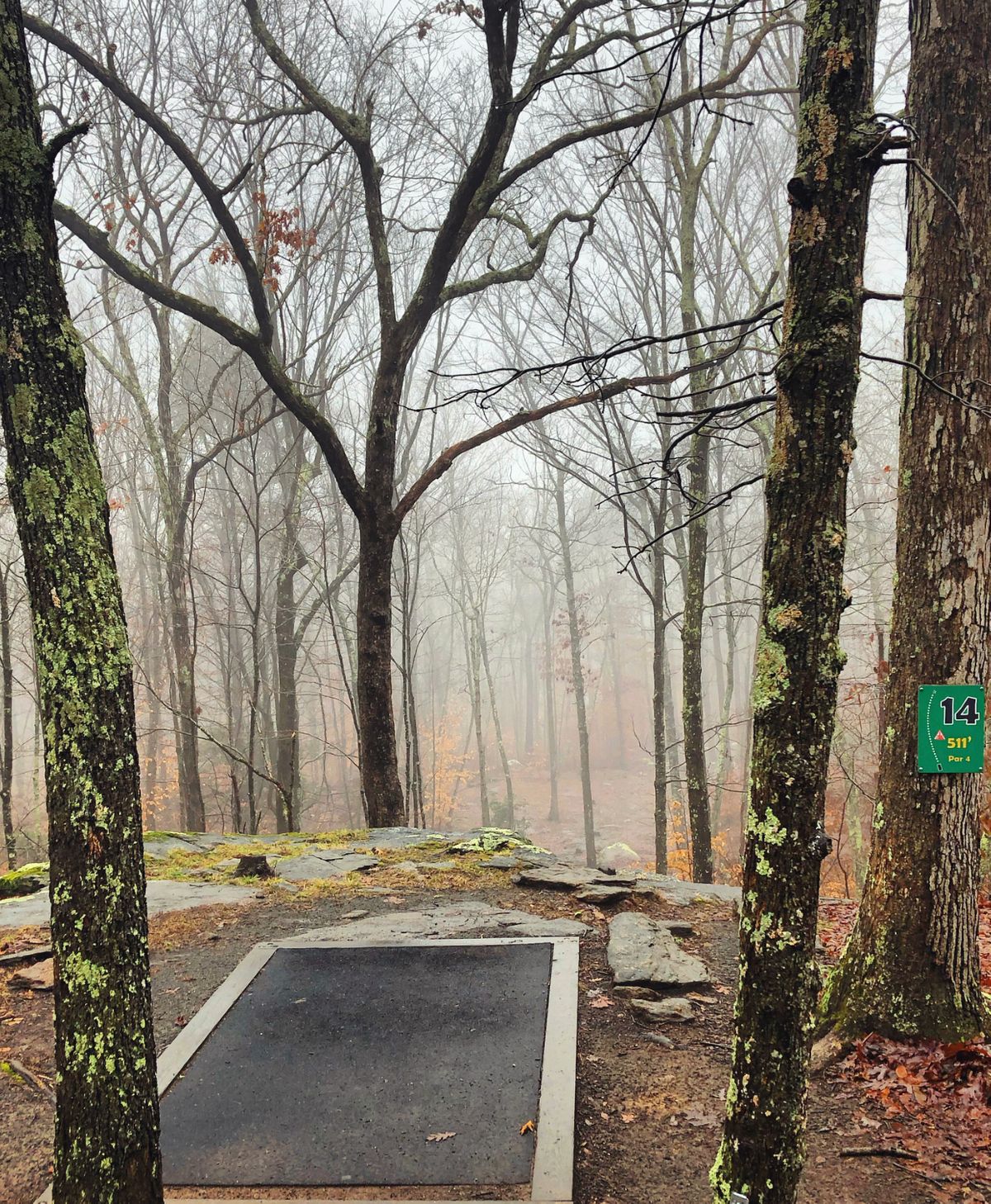 Hole 14