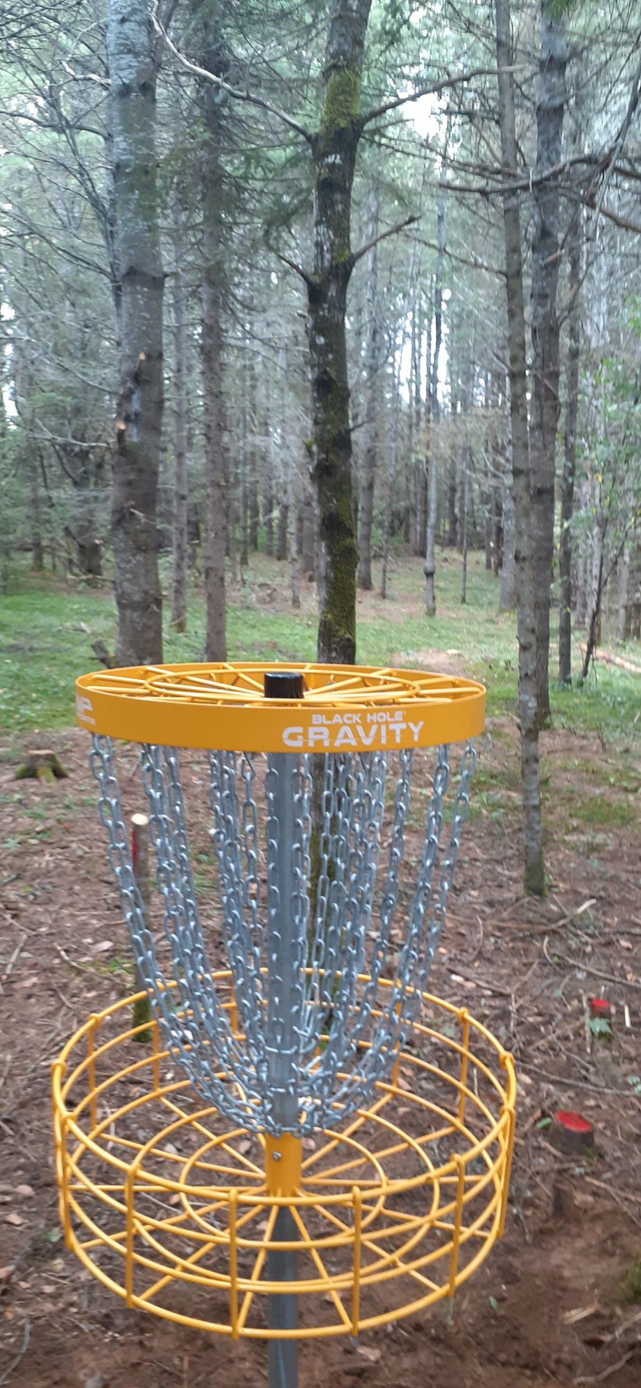 Hole 7