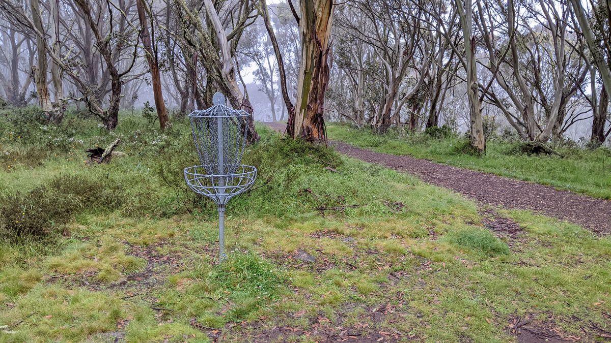 Basket on hole 6 off to the right side of the trail