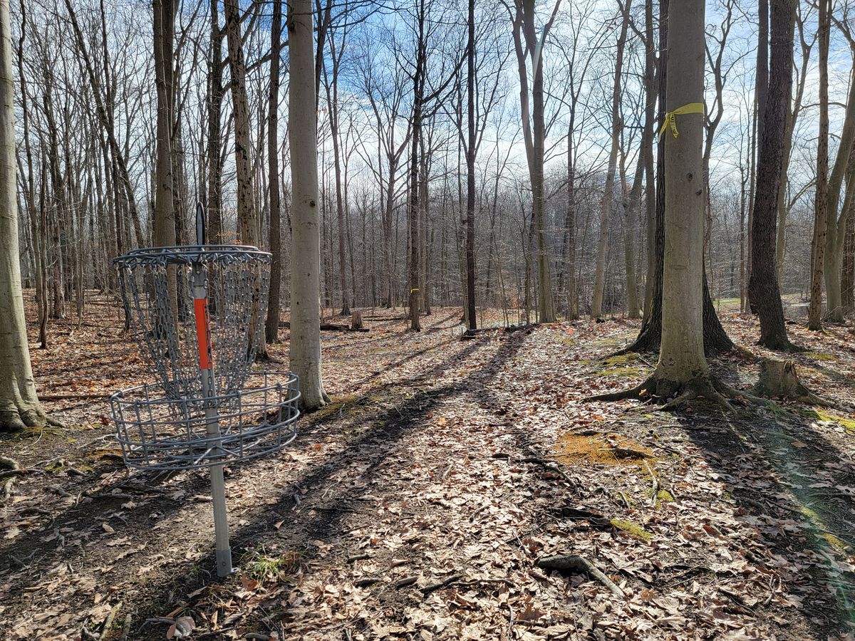6's green look back up fairway