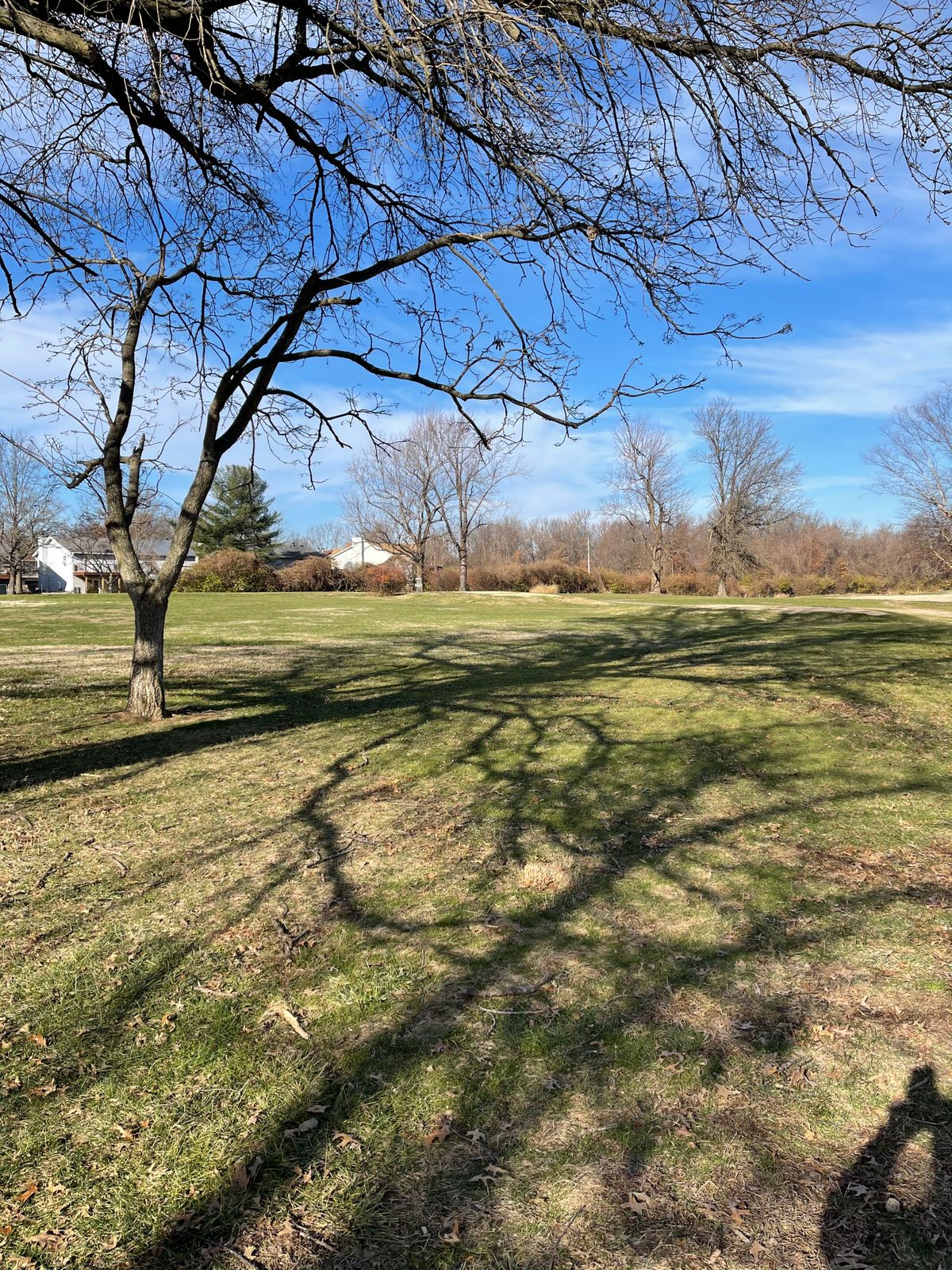 Hole 3s tees view. Basket is in short position