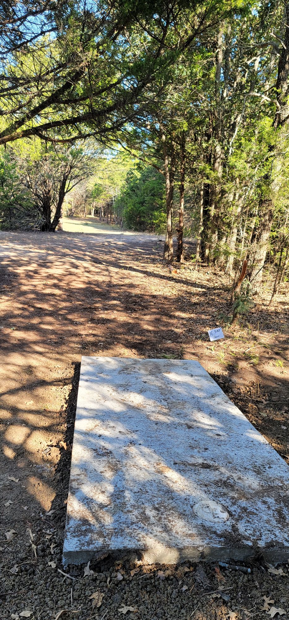 Hole 15 short tee