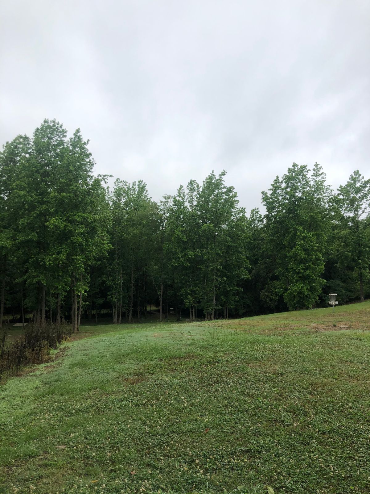 Hole 12