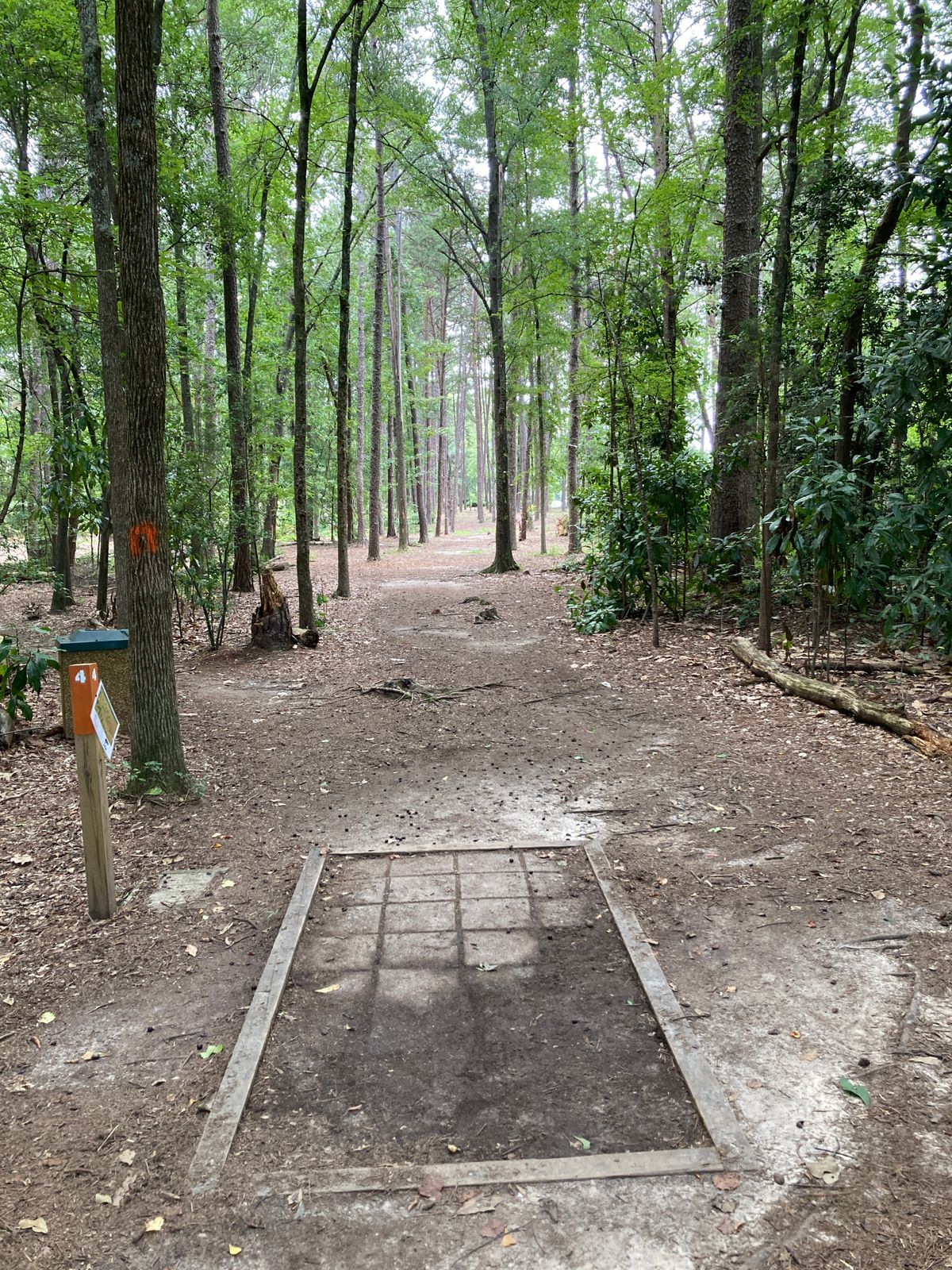 Hole 4 - fairway moves slightly left to right then straightens out - OB road on right.