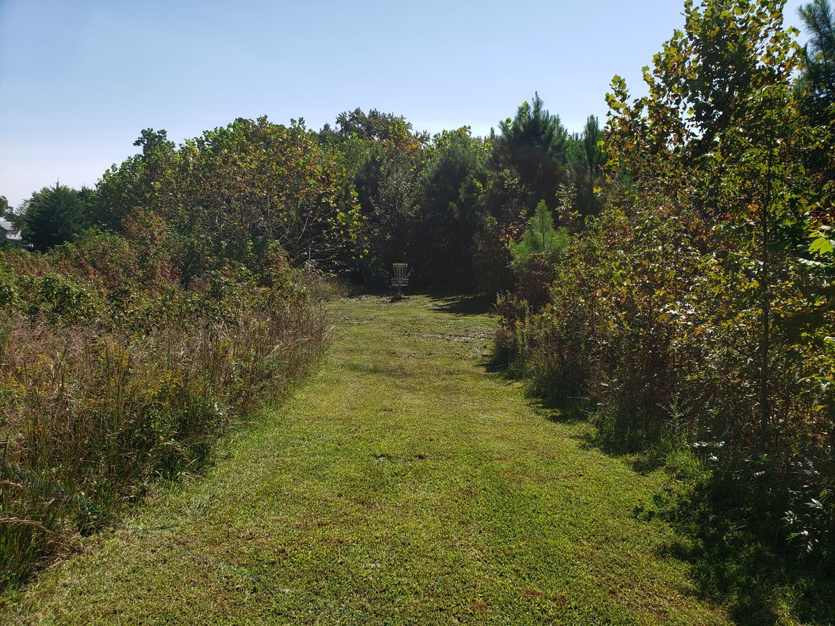 Hole 4 Basket.
