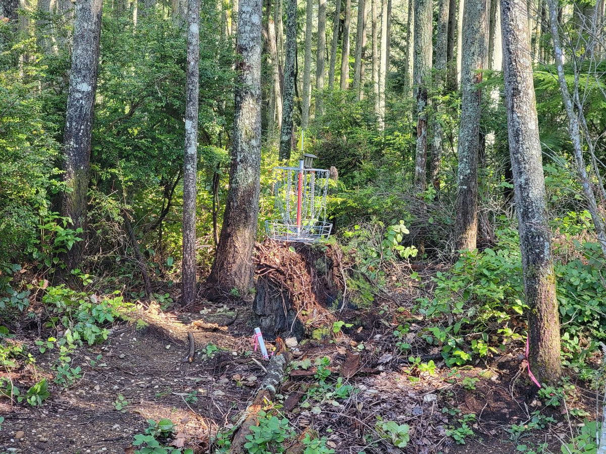 #5. Par 4