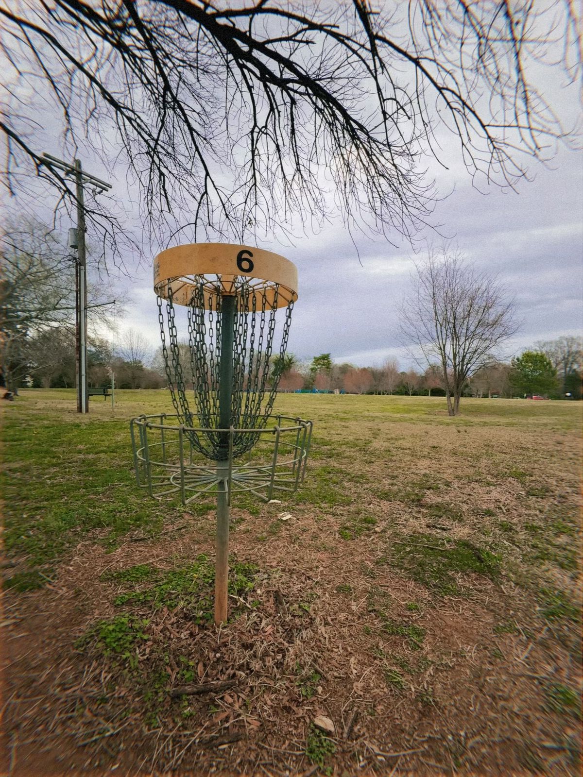 Hole 6 basket
