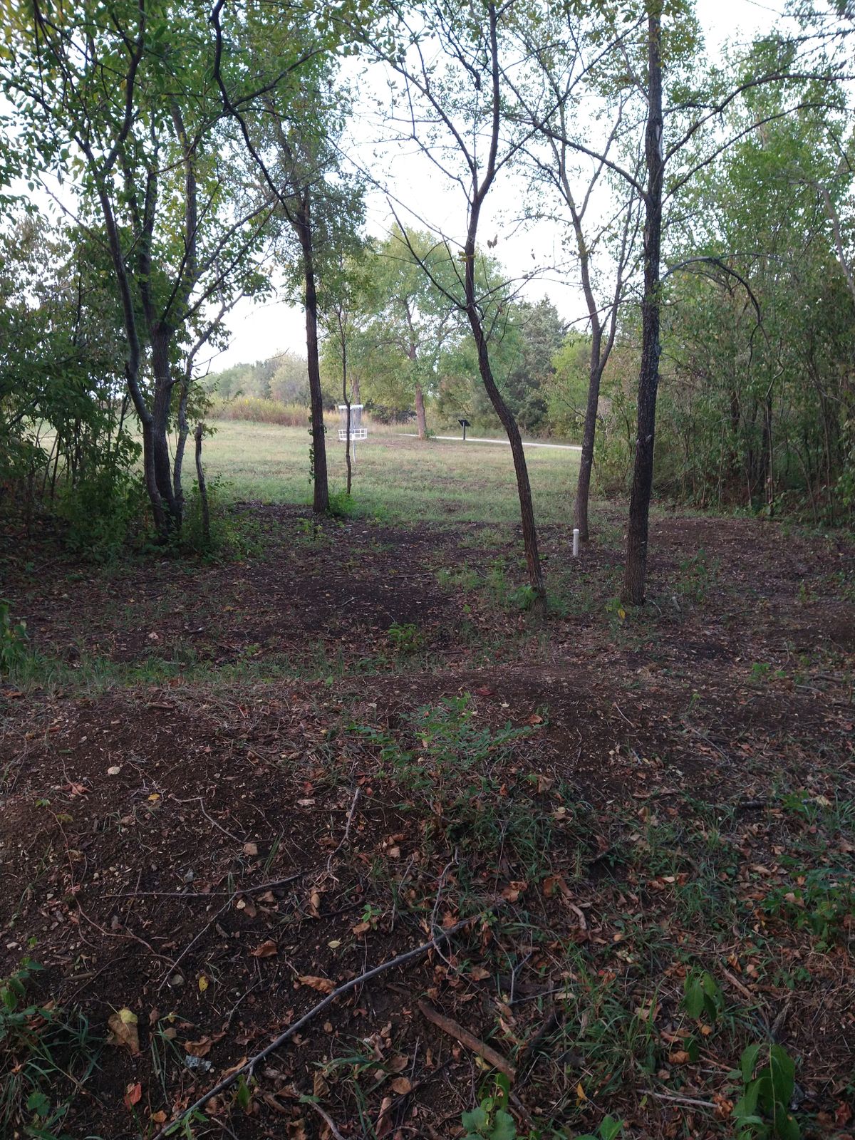 Both basket locations, A is past the trees and a par 4. B is is still in the woods and has a white stub showing in this picture. B is par 3.