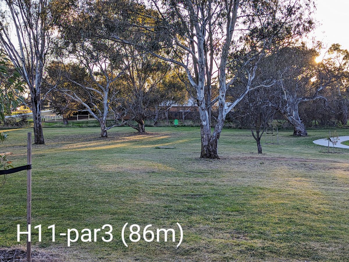 H11-par3 (86m)