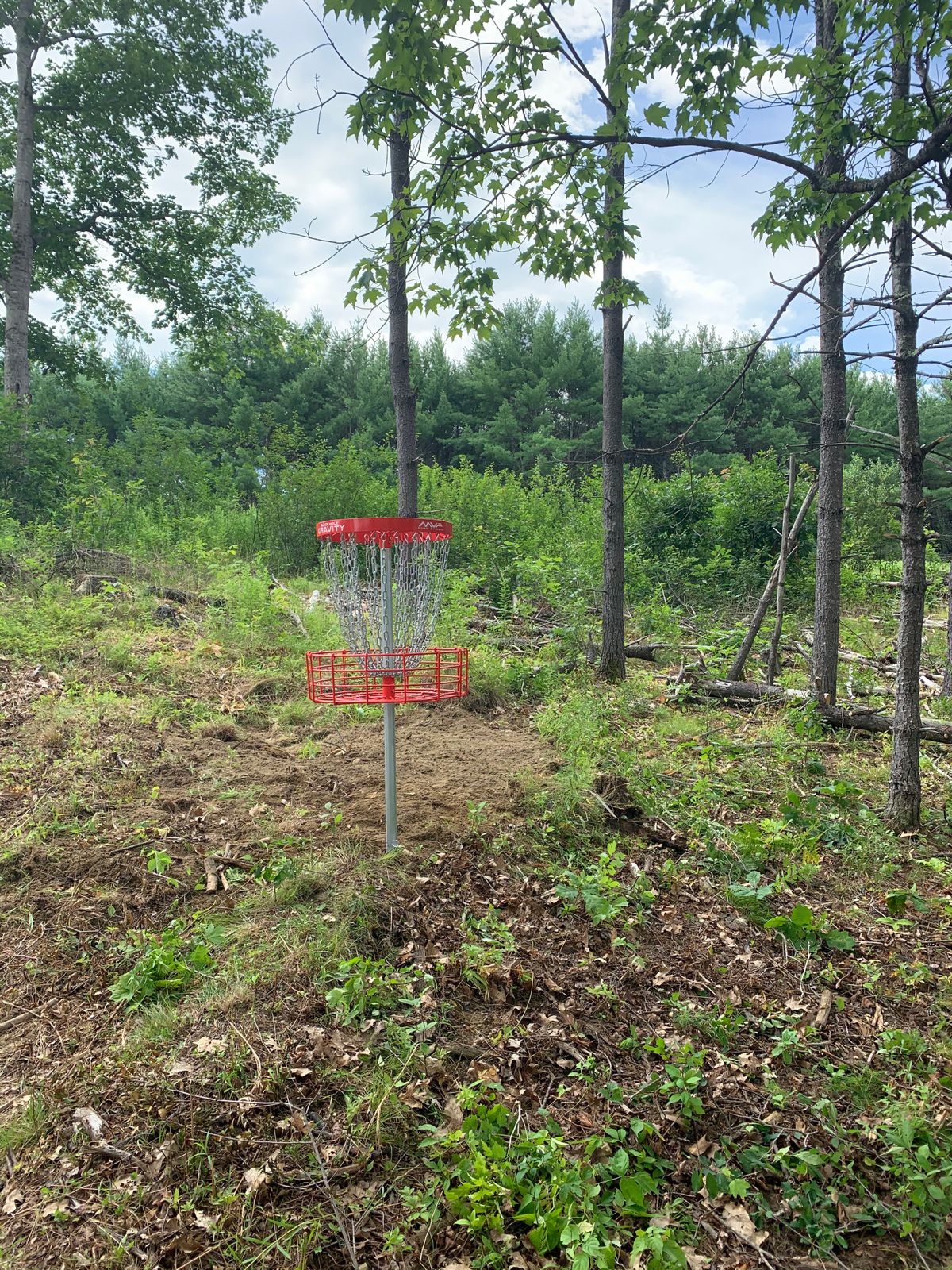 Top of hole 14