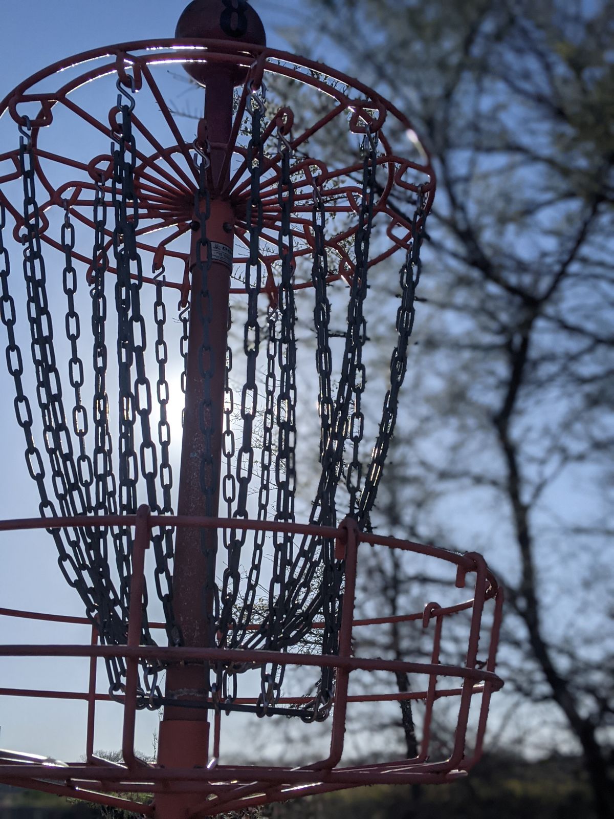 8th basket - Old Oak