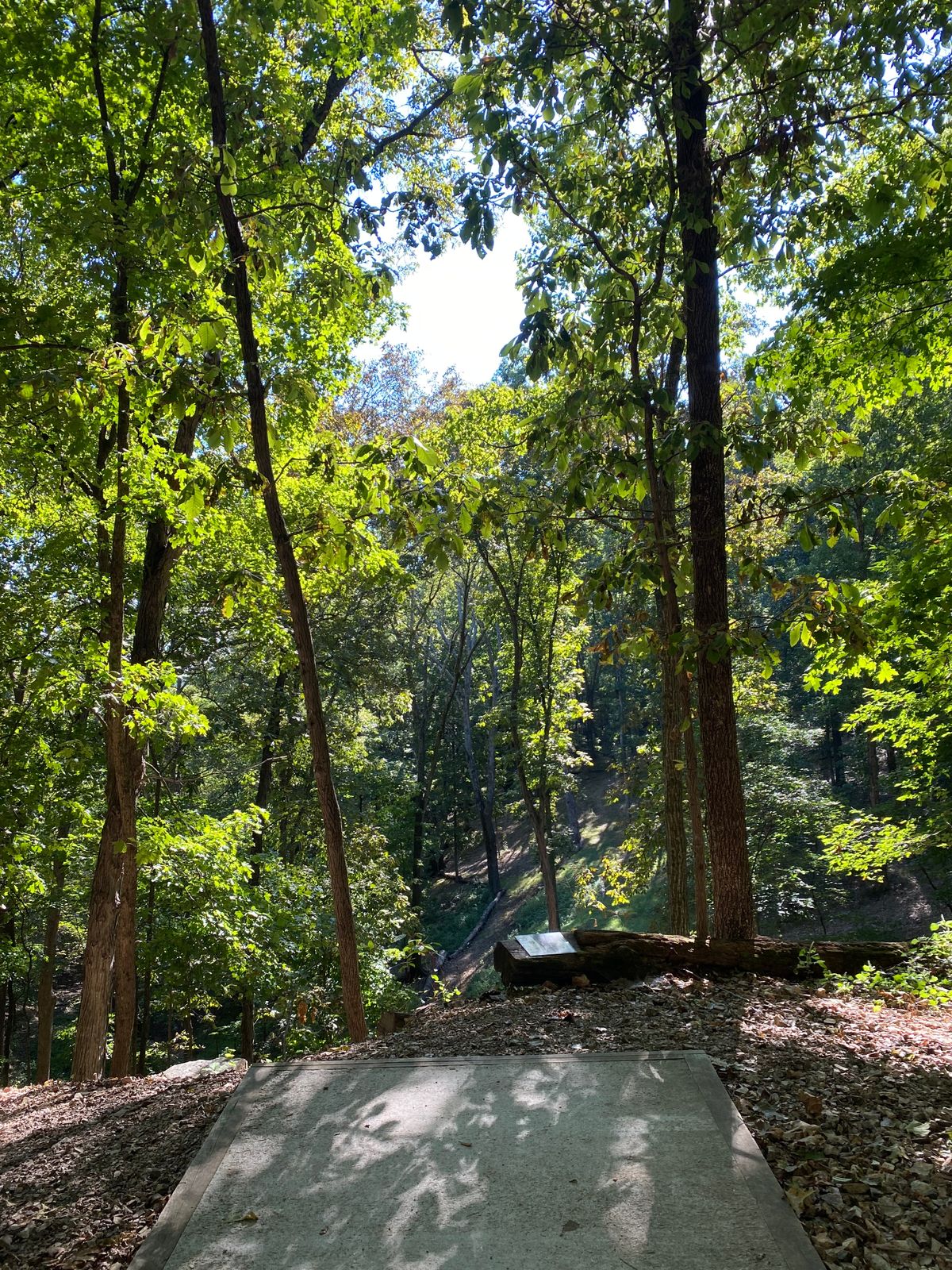 Hole 3