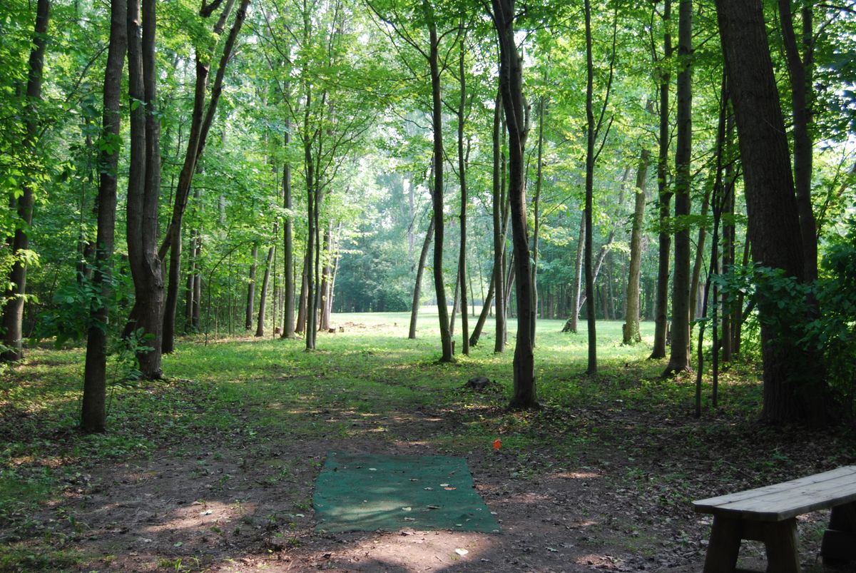 Hole 3 long tee pad position