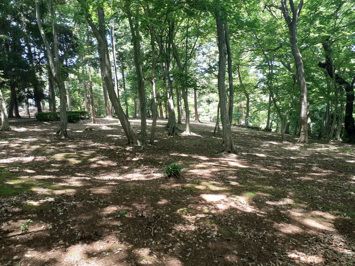Hole 3 par 3 45m
