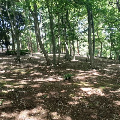 Hole 3 par 3 45m