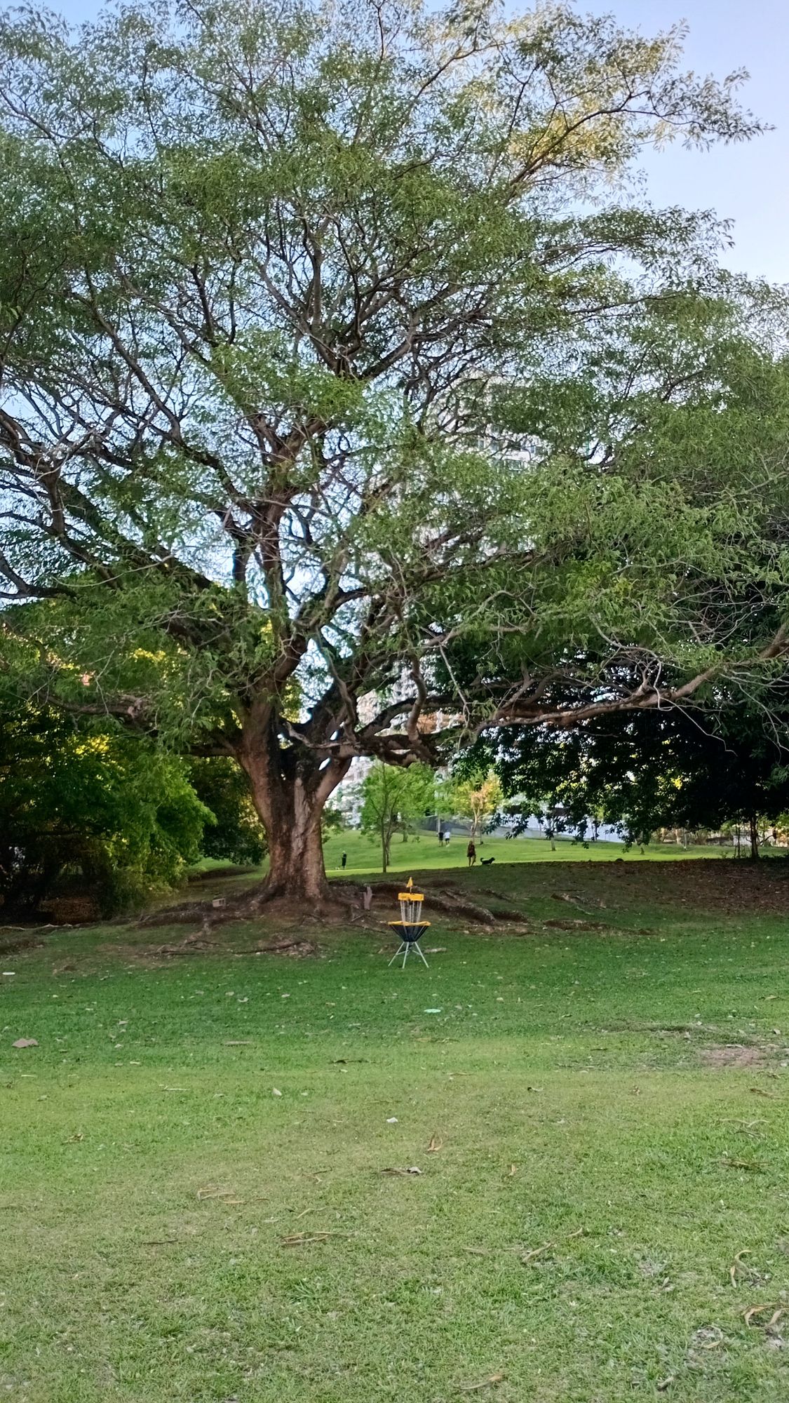 Parque Omar DG Course
Hole 12 Target