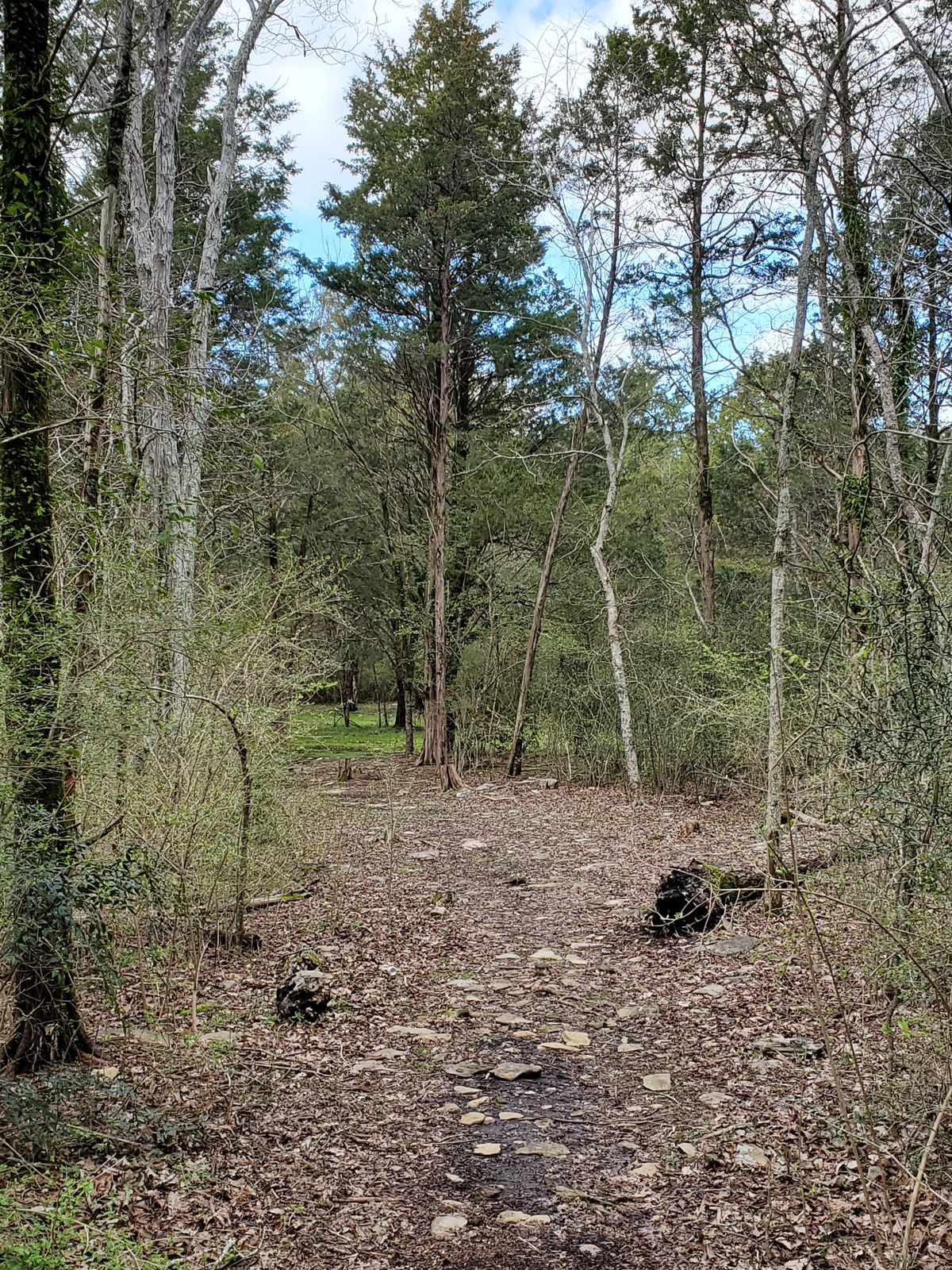 Photo from Teebox