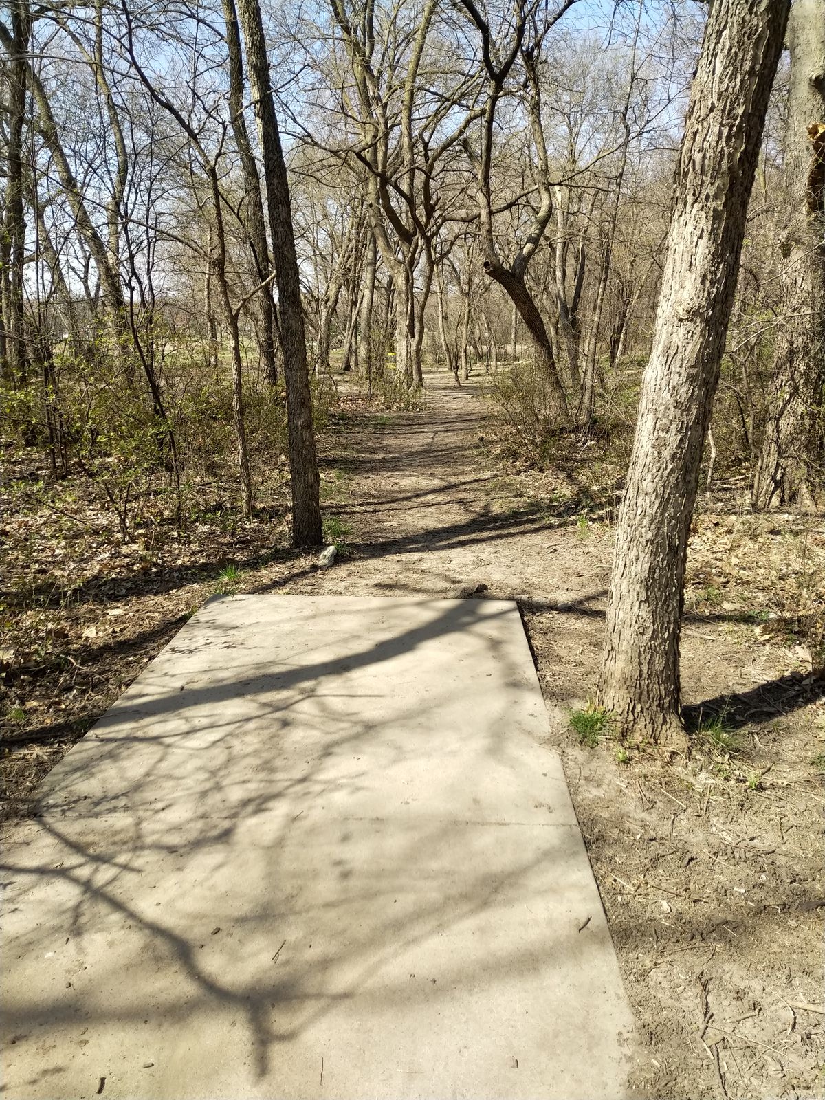 Hole #8 Blue Tee (April 2021)