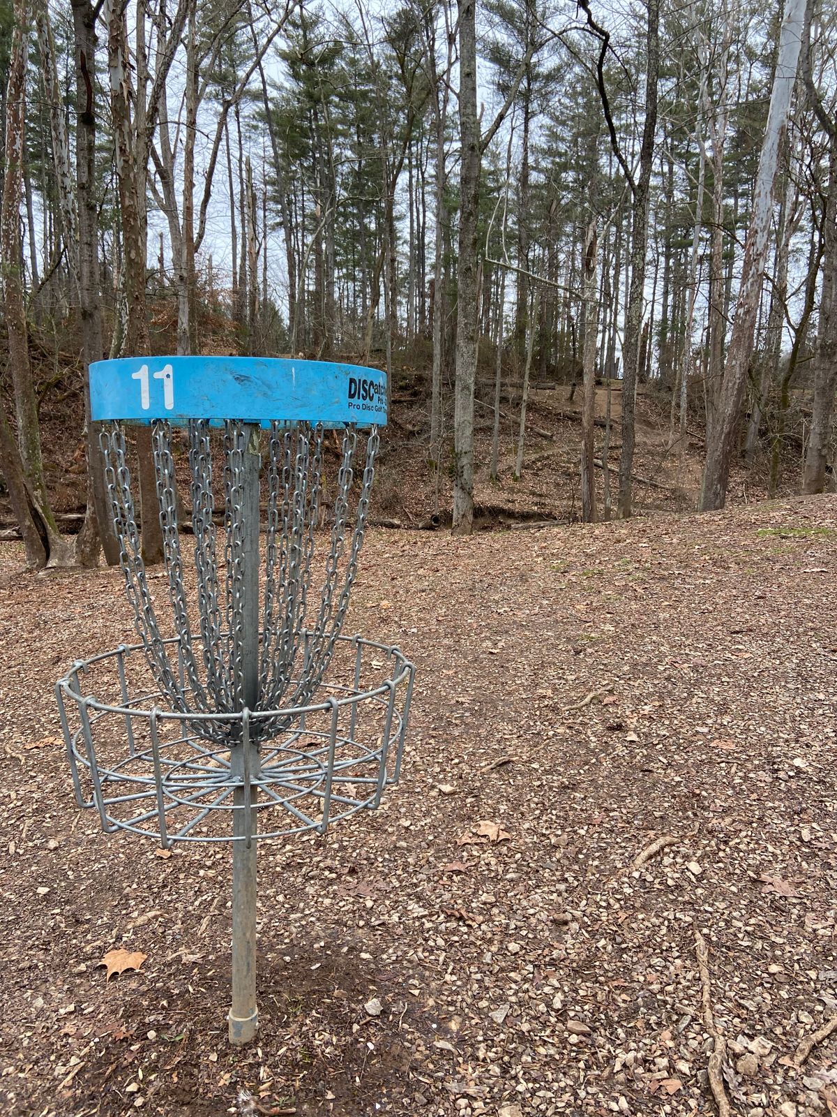 Hole 11 basket looking towards the tee