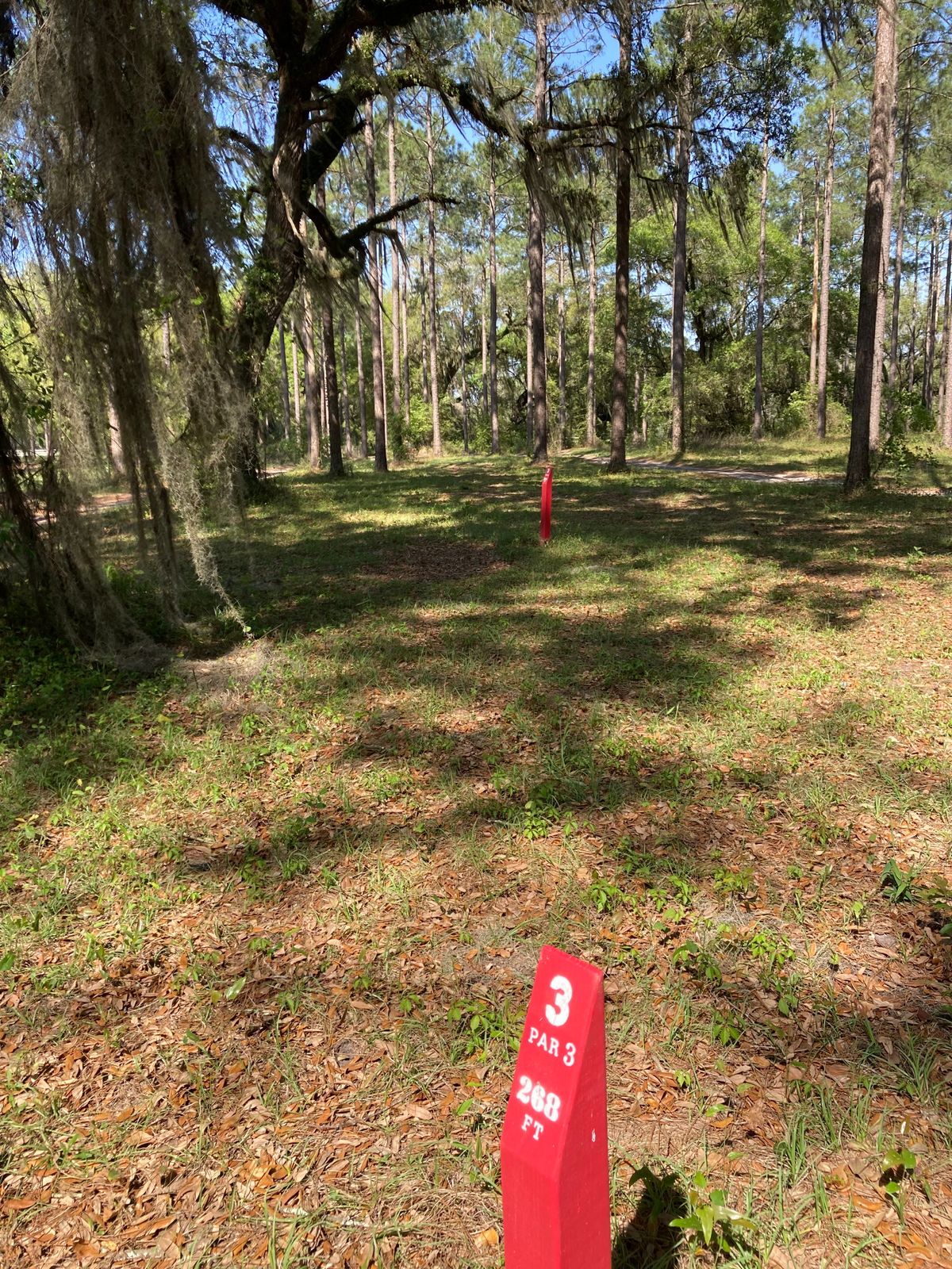 Hole 3