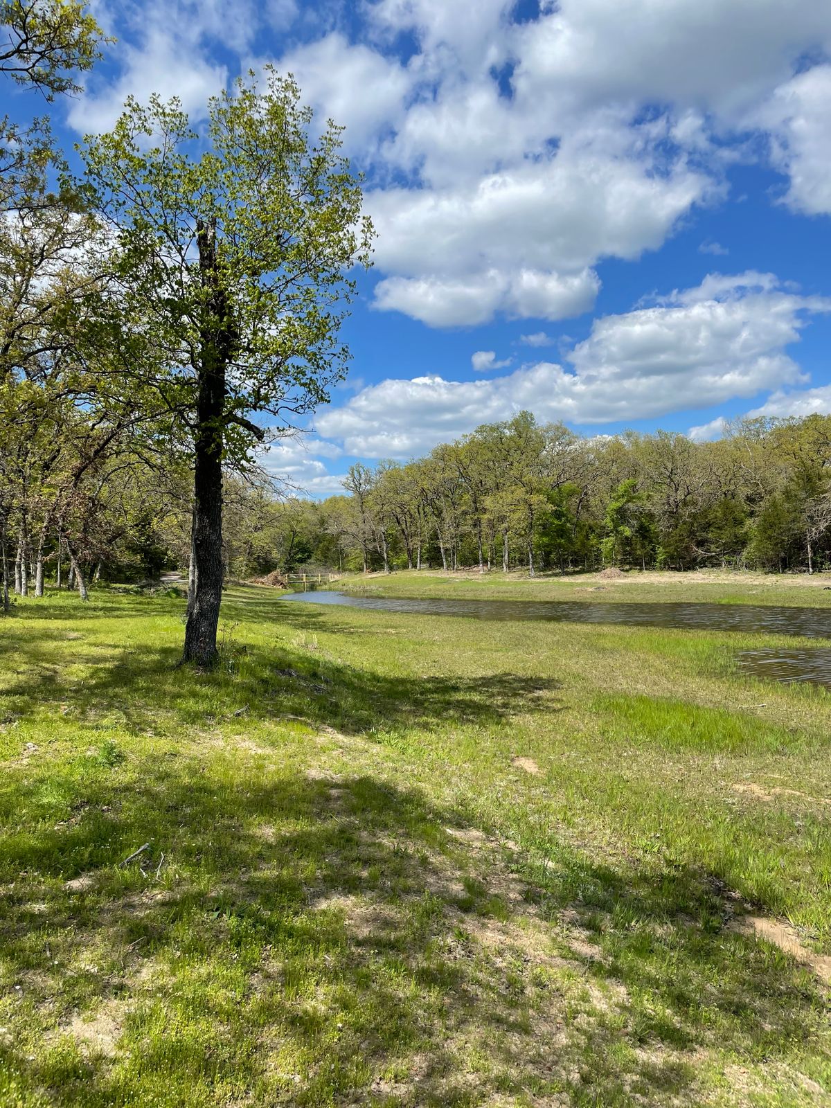 #3 short tee