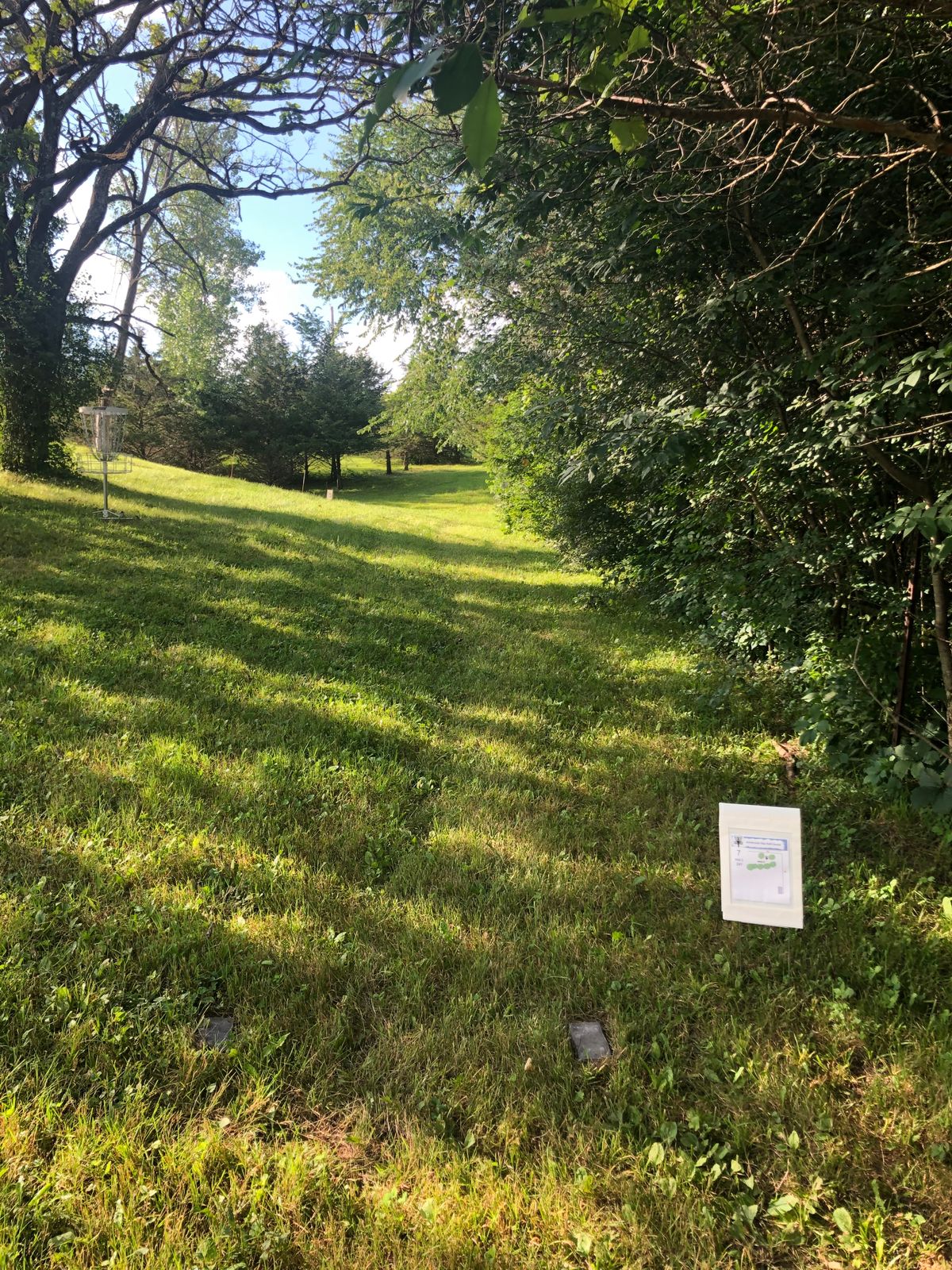 Tee Hole 7 (fence OB)