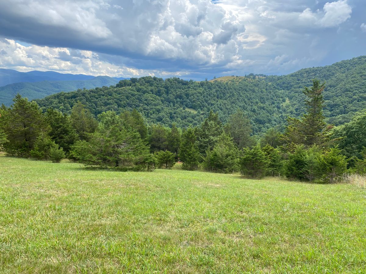 Not a hole, just the view with a basket
