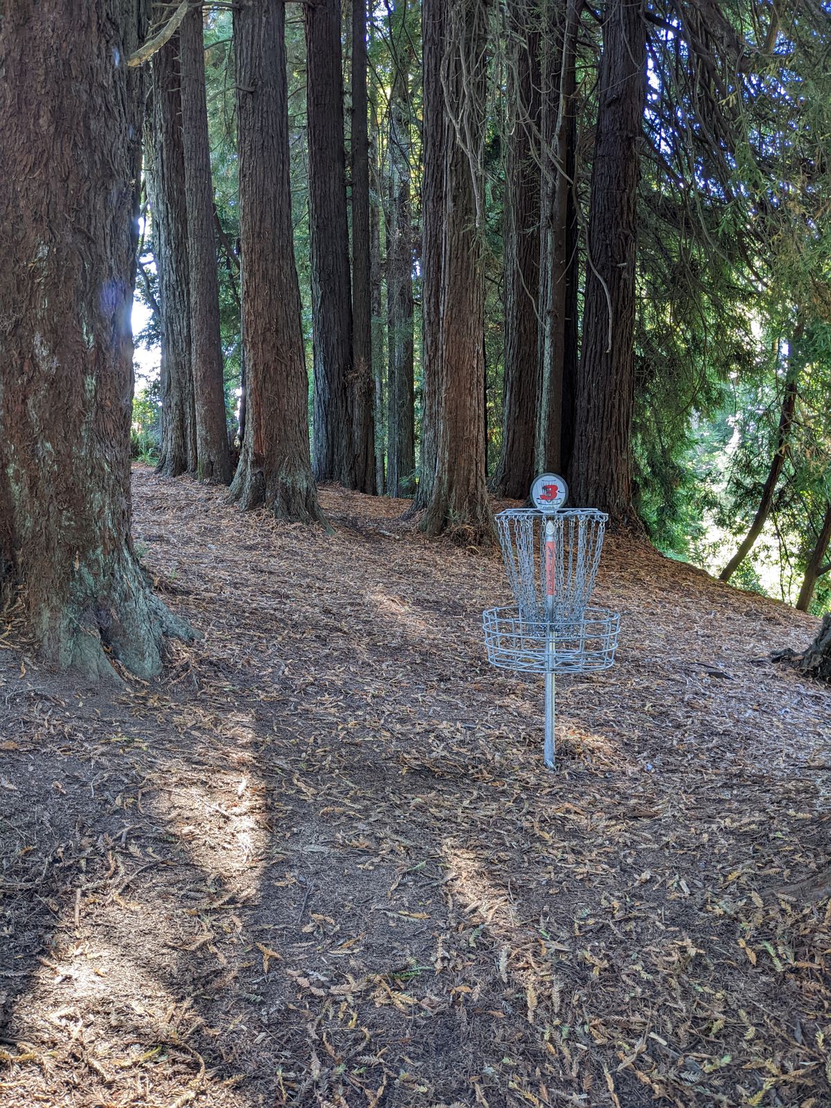 Hole 3 putting distance