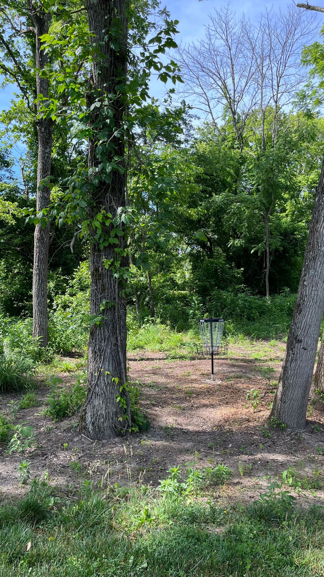 Hole 1 Basket