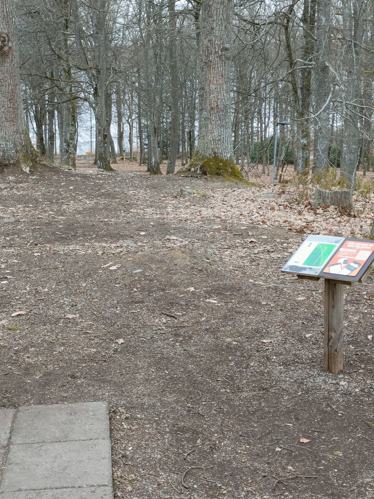 Hål 1. Ny discgolfpark korg