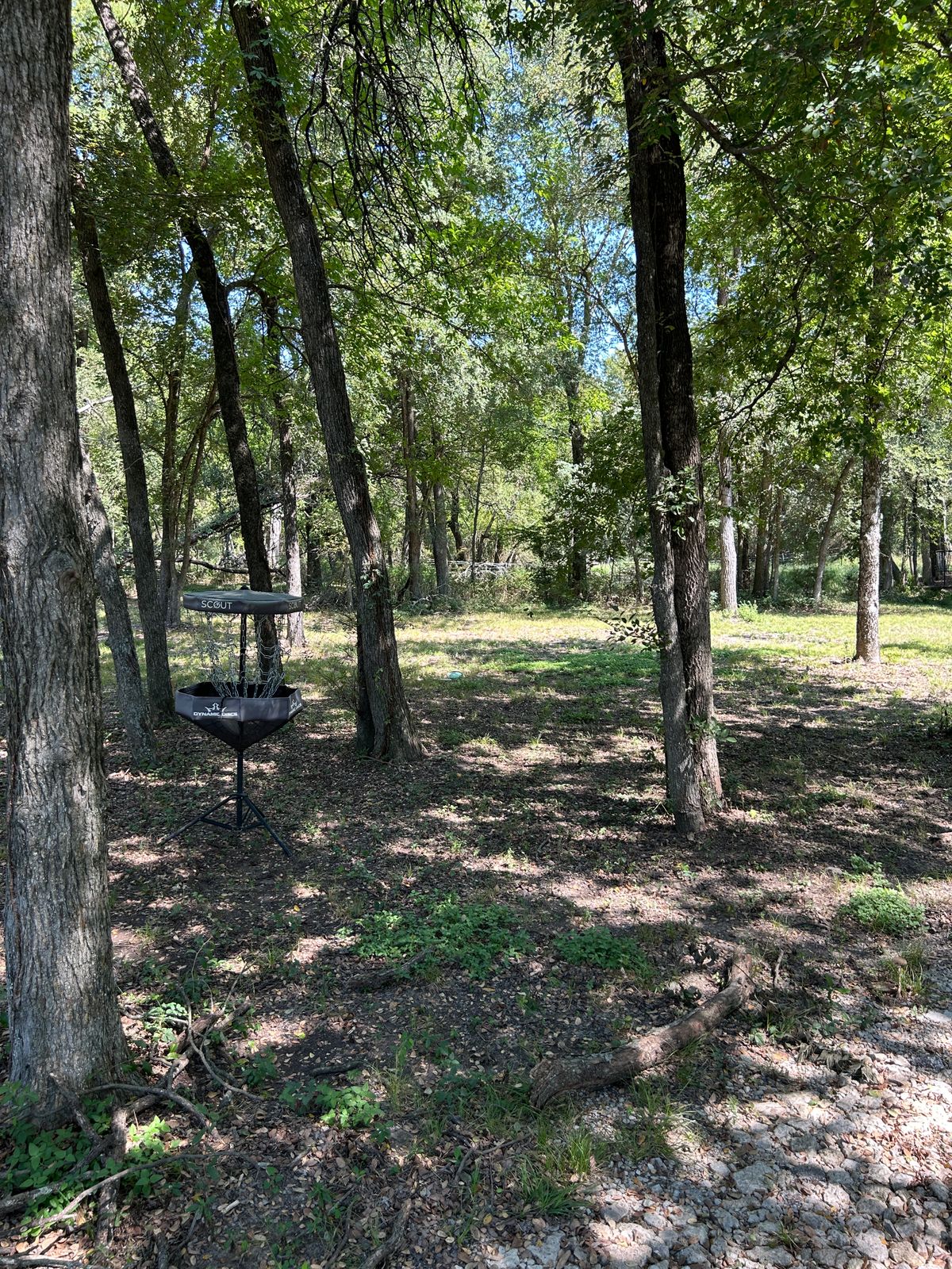 Hole 6s basket view
