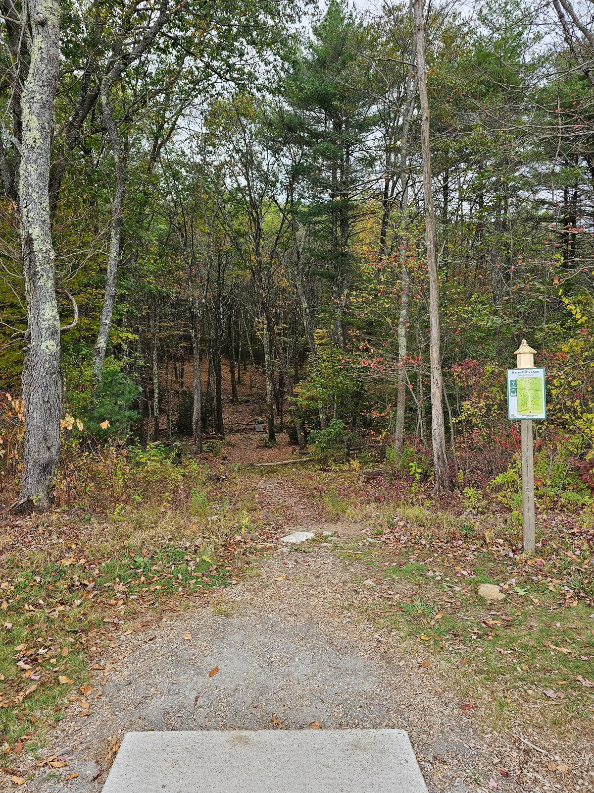 Tee pad into the woods on hole 7