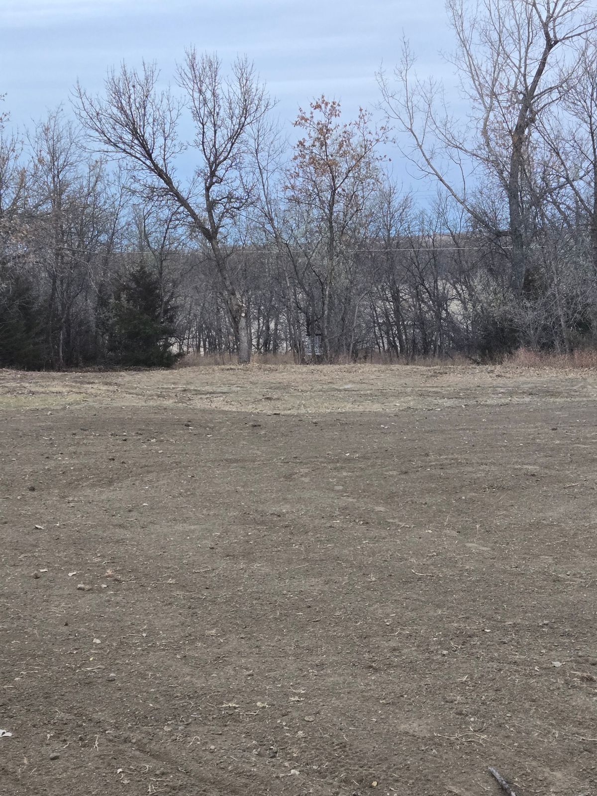 Hole 3