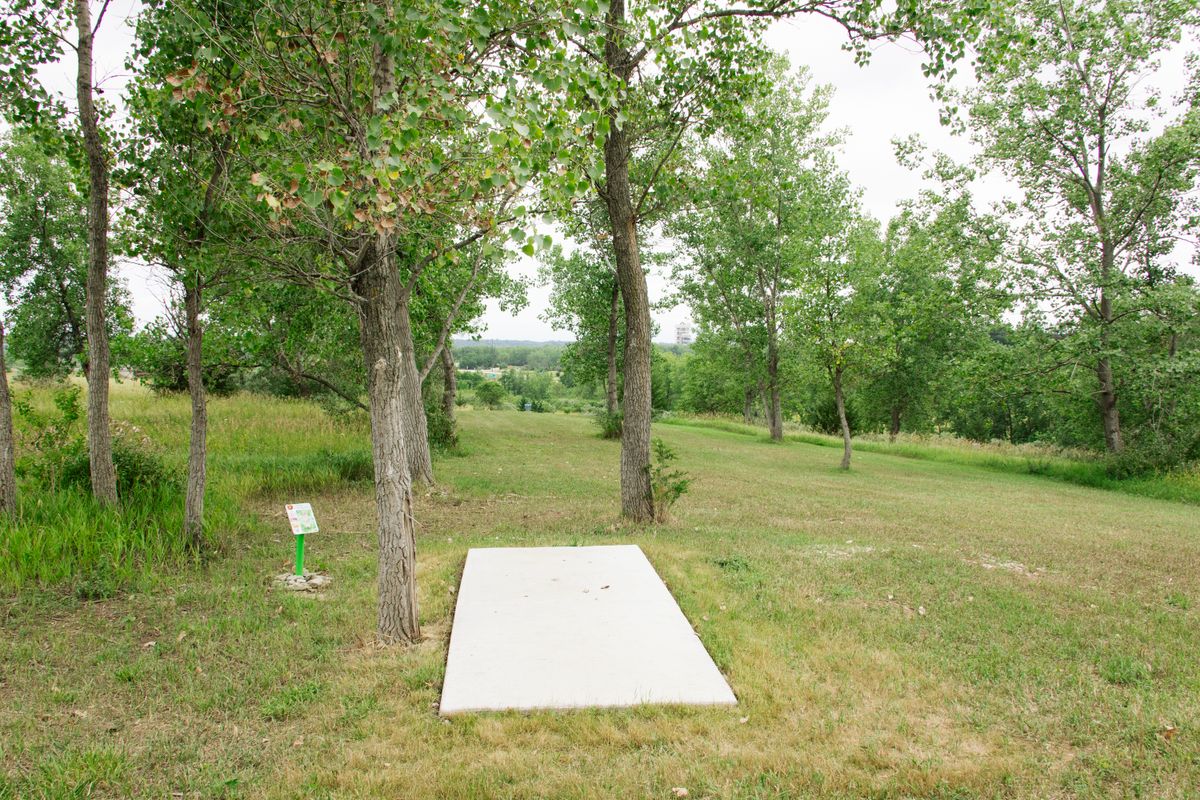 Hole 6 short tee