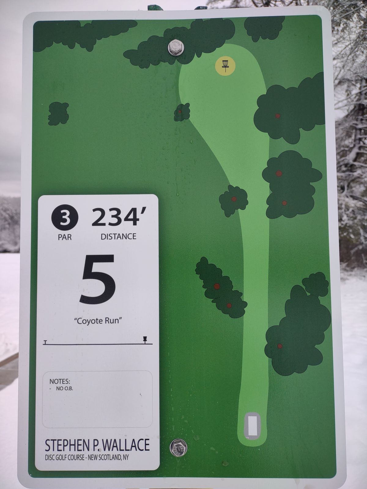 Hole 5 White