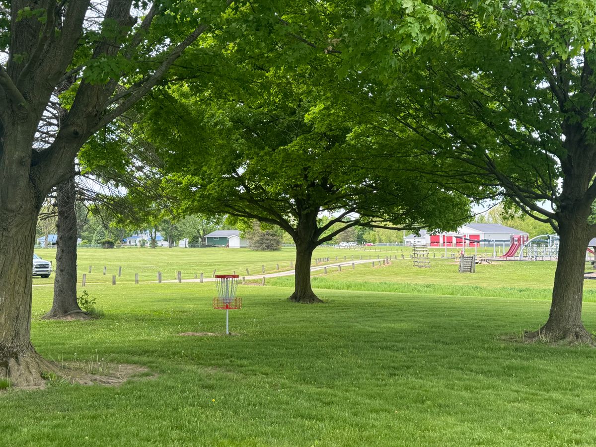 Hole 7 basket
