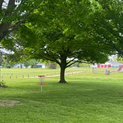 Hole 7 basket