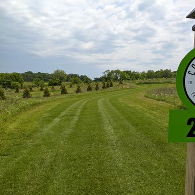 Hole 2 tee