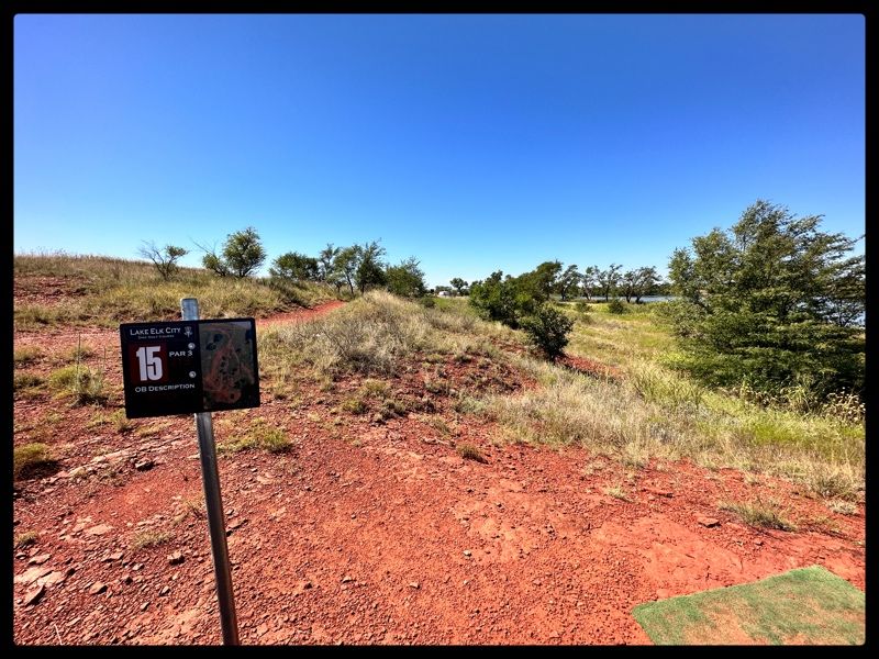 15 throwing south - basket behind cedars
